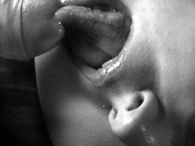 locosxlascalzas locosxlascalzas