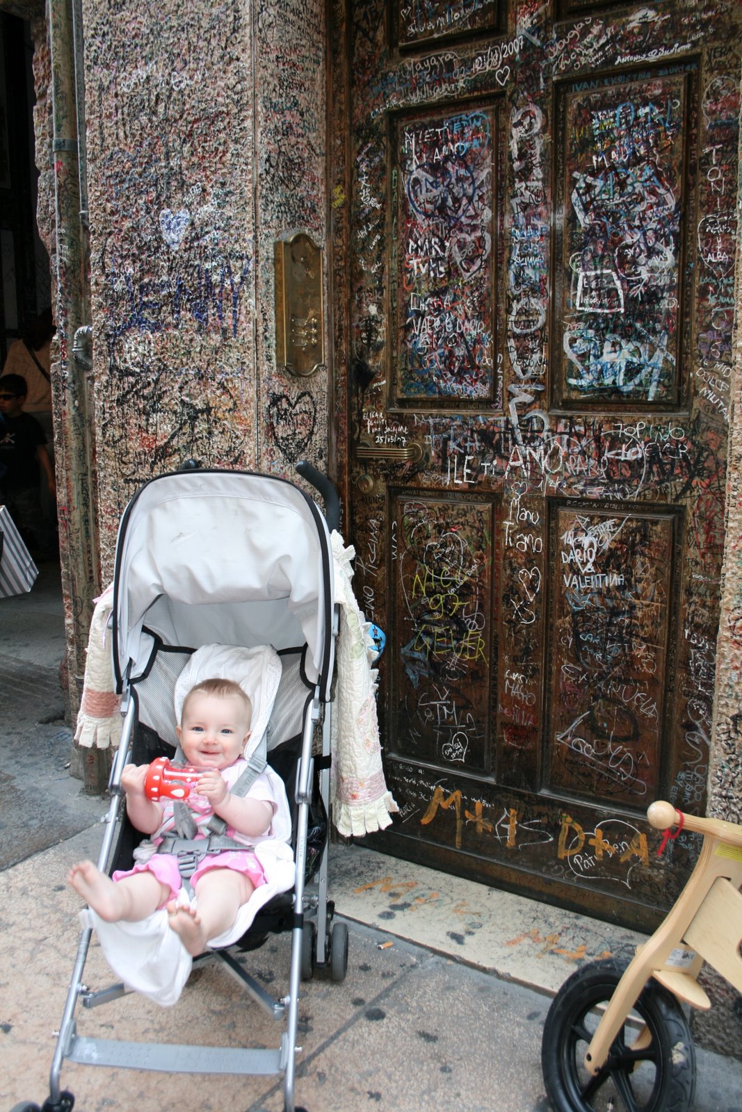 [IMG_3510.JPG]