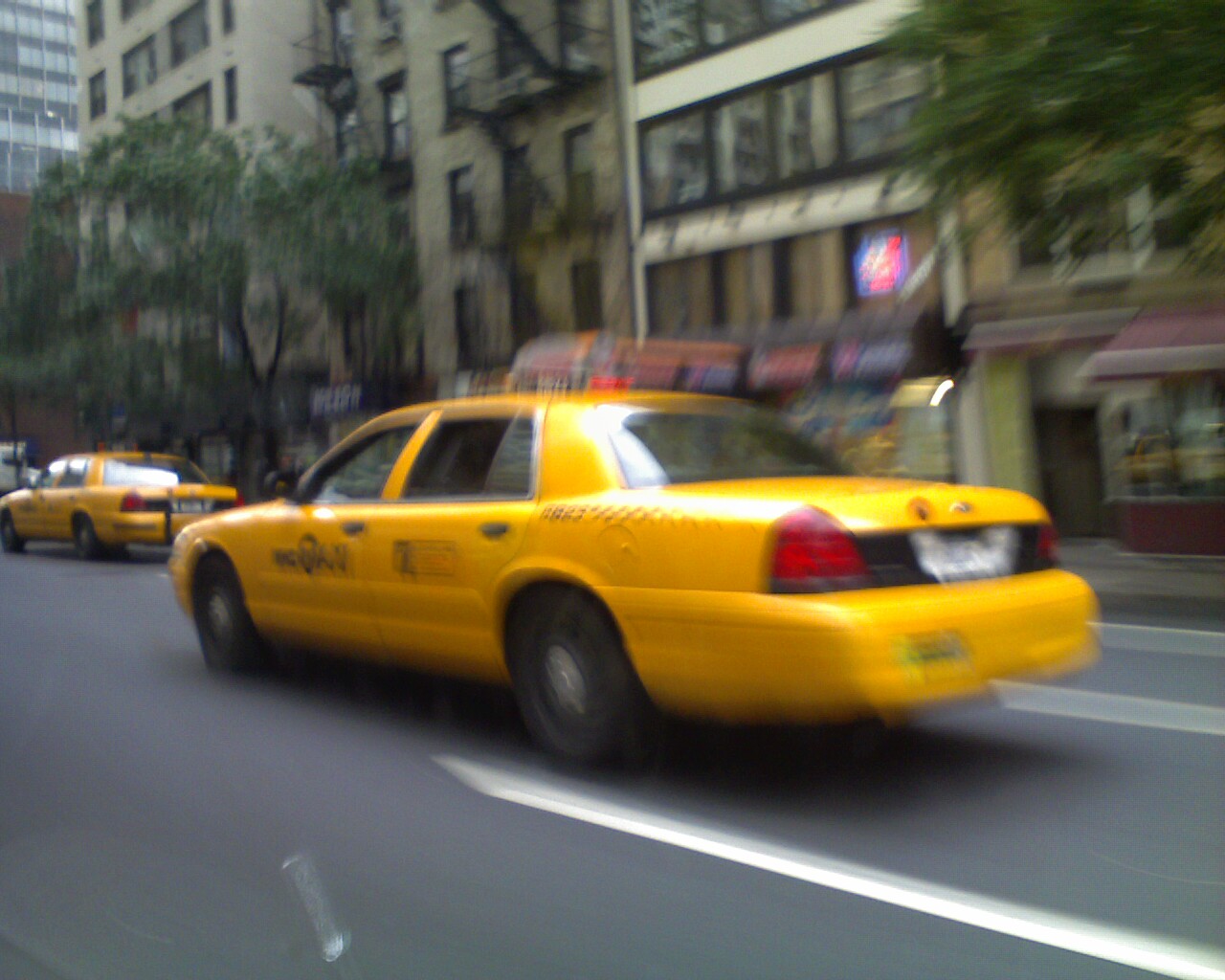 [Photo_081108_005-766809.jpg]