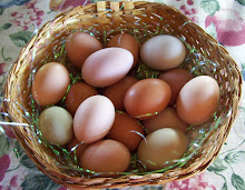 Rainbow Eggs