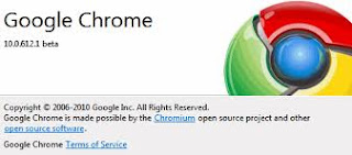 download Google Chrome 10.0.628.0 Beta terbaru gratis maswafa