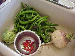garden vegetable pepper kohlrabi turnip