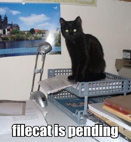 filecat is pending
