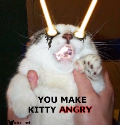 You Make Kitty Angry