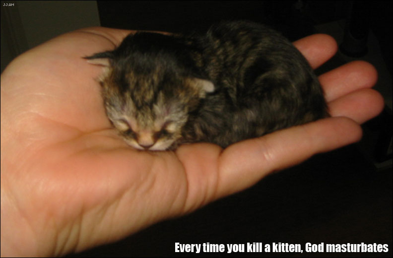 Everytime You Kill a Kitten, God Masturbates