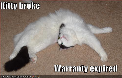 Kitty broke Warranty expired