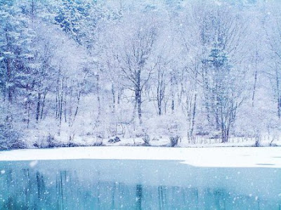 amazing winter
