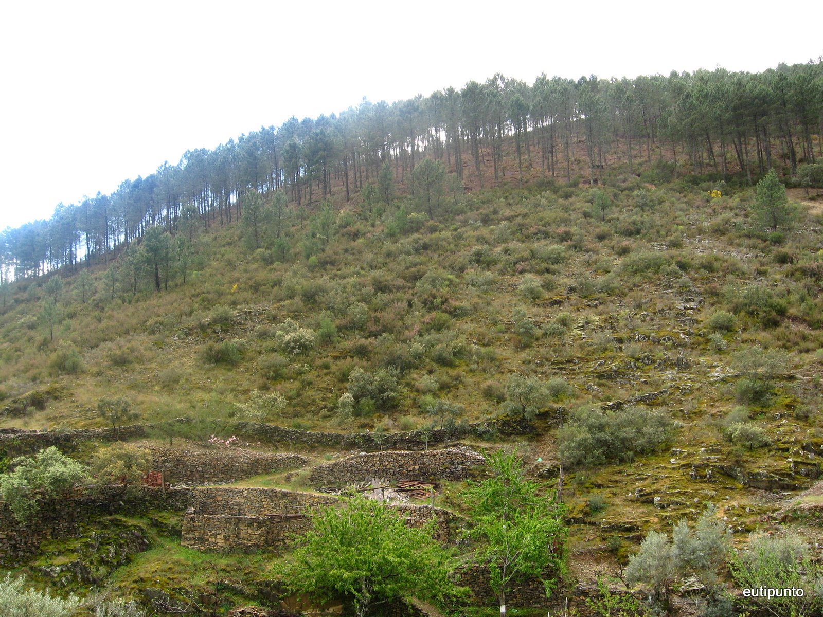 [IMG_3733.JPG]