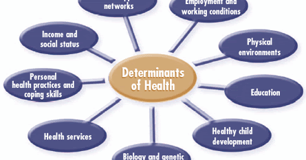 determinants health social global