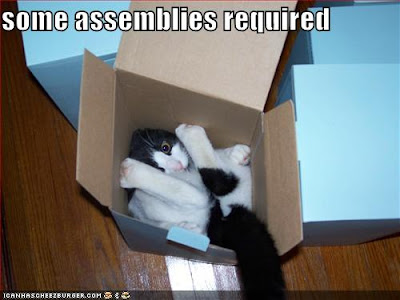 [Imagen: cat+box.jpg]