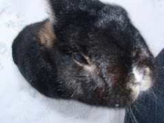 Lindy's Snuffie