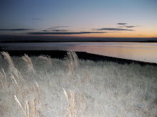 AMELIA ISLAND, FLORIDA