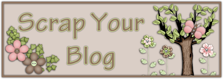 Scrap Your Blog