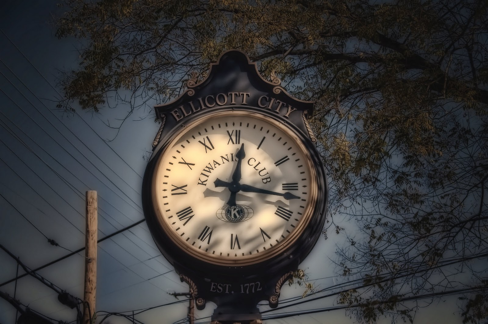 The Little Birds Are Urging Me Ellicott City, Maryland