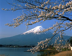 Cherry Blossoms (桜)