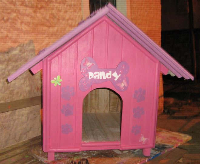 LA CASA DE PANDY (UNA PERRITA)