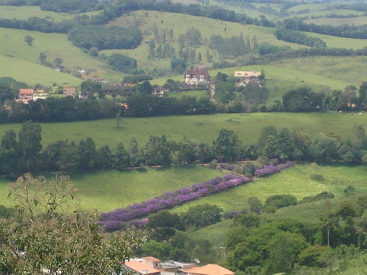 Terra do Pé de Feijão