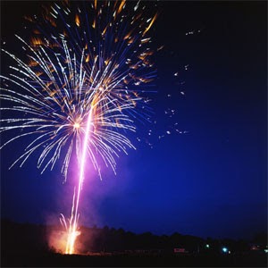 Working My Muse: Quick Celebration On A Friday