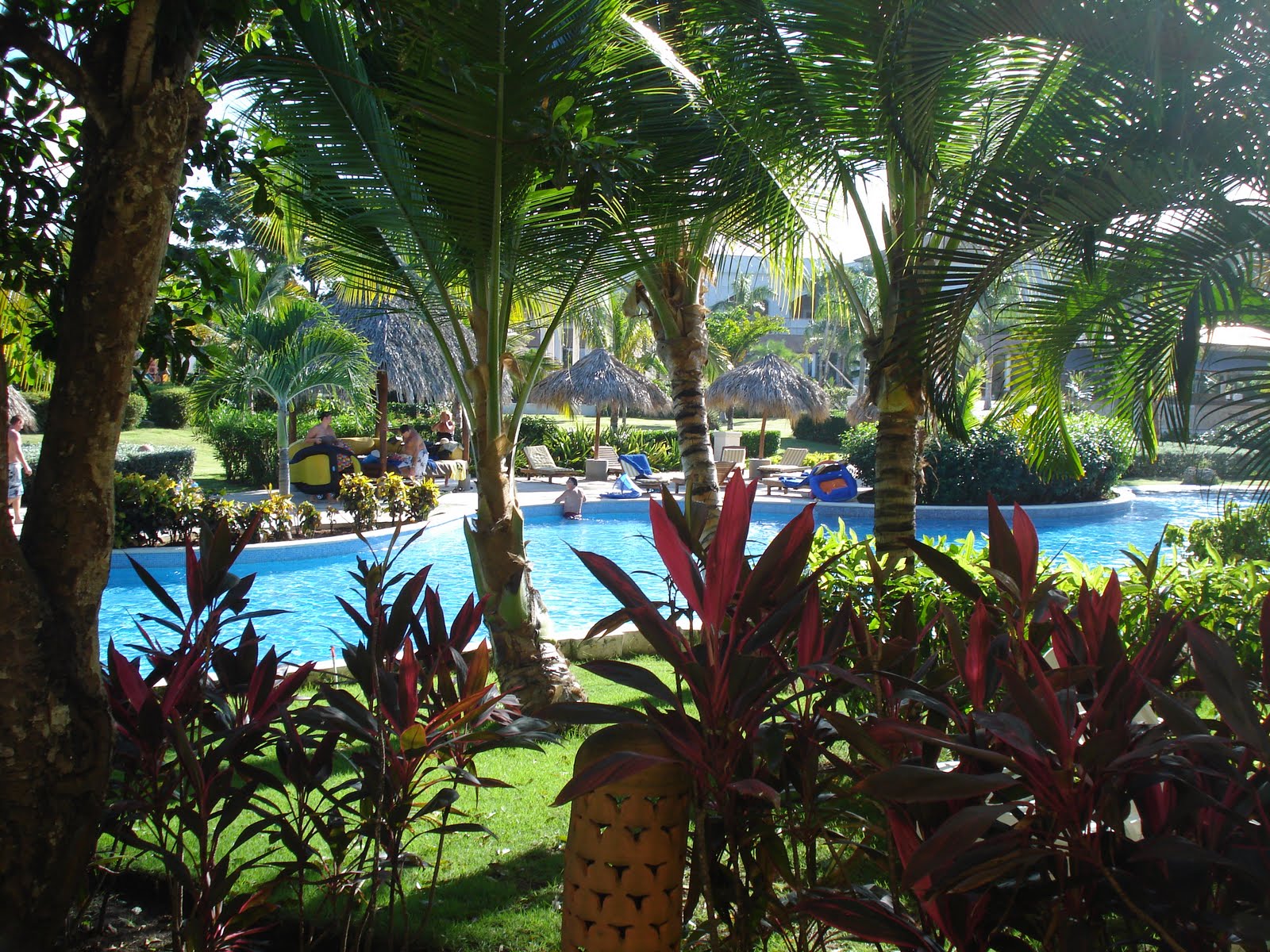 [DSC00754.JPG]