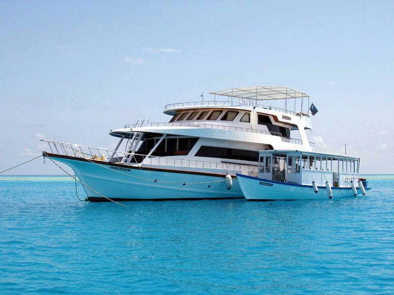 newbrilliantessay ENG311 Travelling by a boat