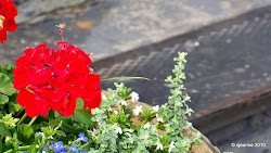 The planted pots reflect an All American City...