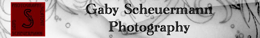 Gaby Scheuermann Photography