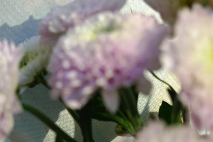 [170902.JPG]
