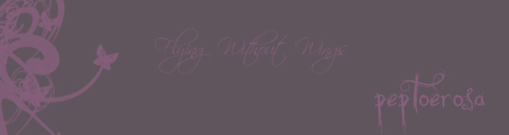 Pep Toe Rosa   .   Voando sem asas'