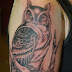 owl tattoos collection