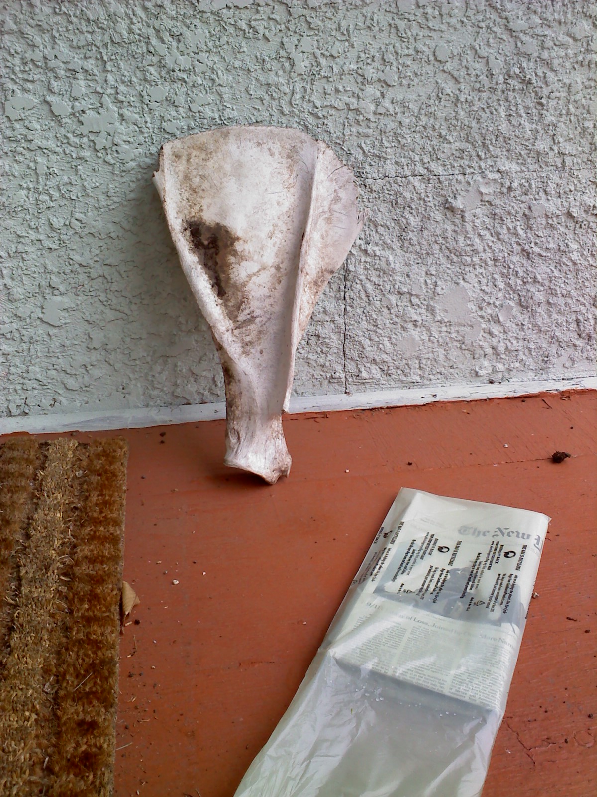 [0912090903a-770787.jpg]