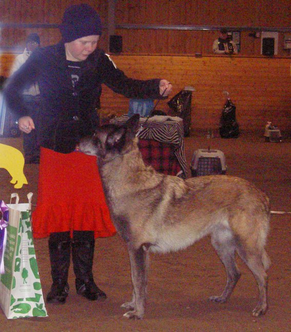 [20081123_moa_alfie.jpg]