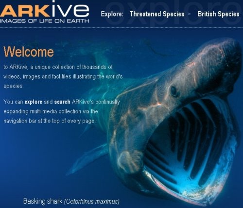 Arkive.org.Vida na Terra