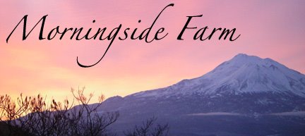 Morningside Farm