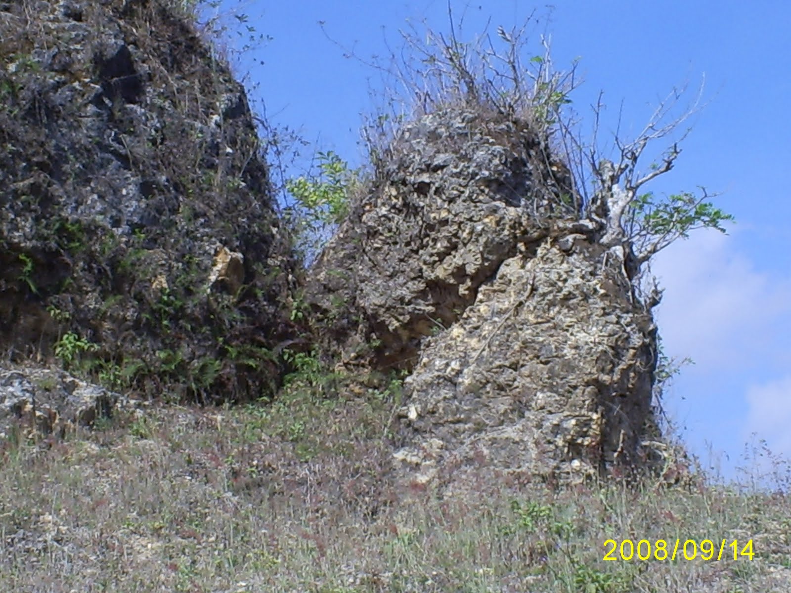 Gambar Tanah Loam