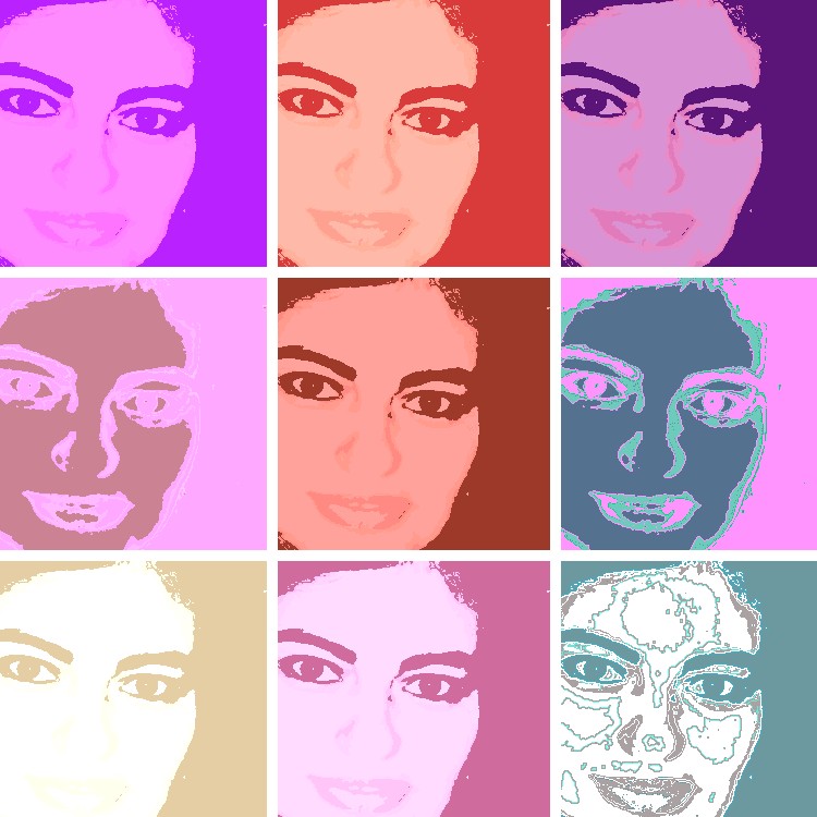 [warholizer9253154.jpg]