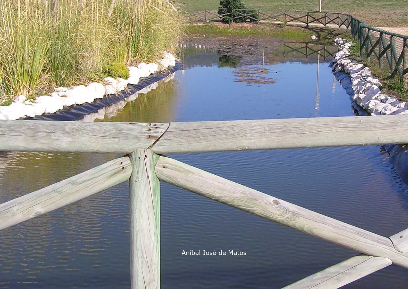 [LAGO.jpg]