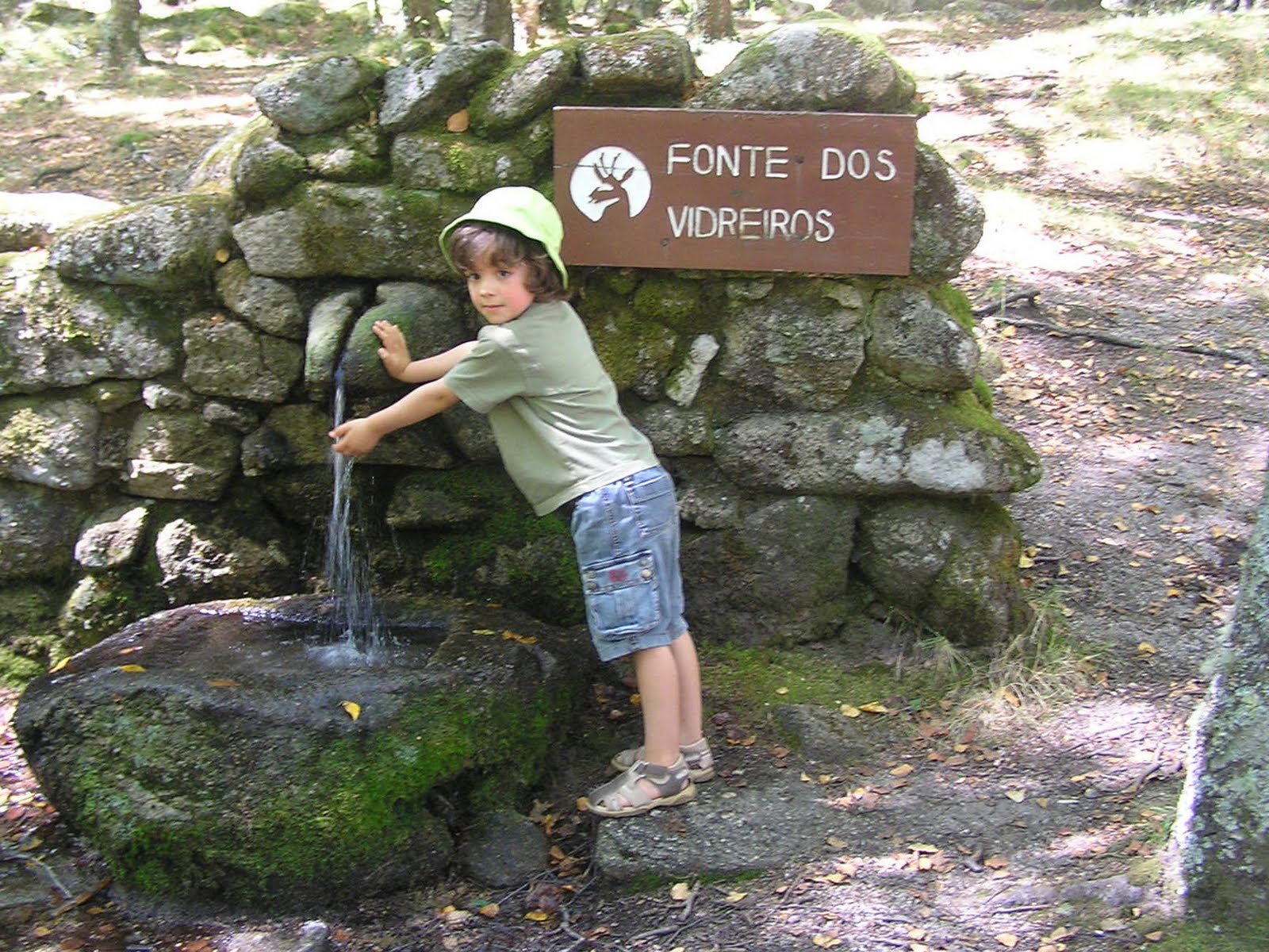 [vicente-a.JPG]