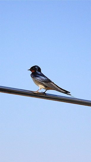 [IMG_1729.JPG]