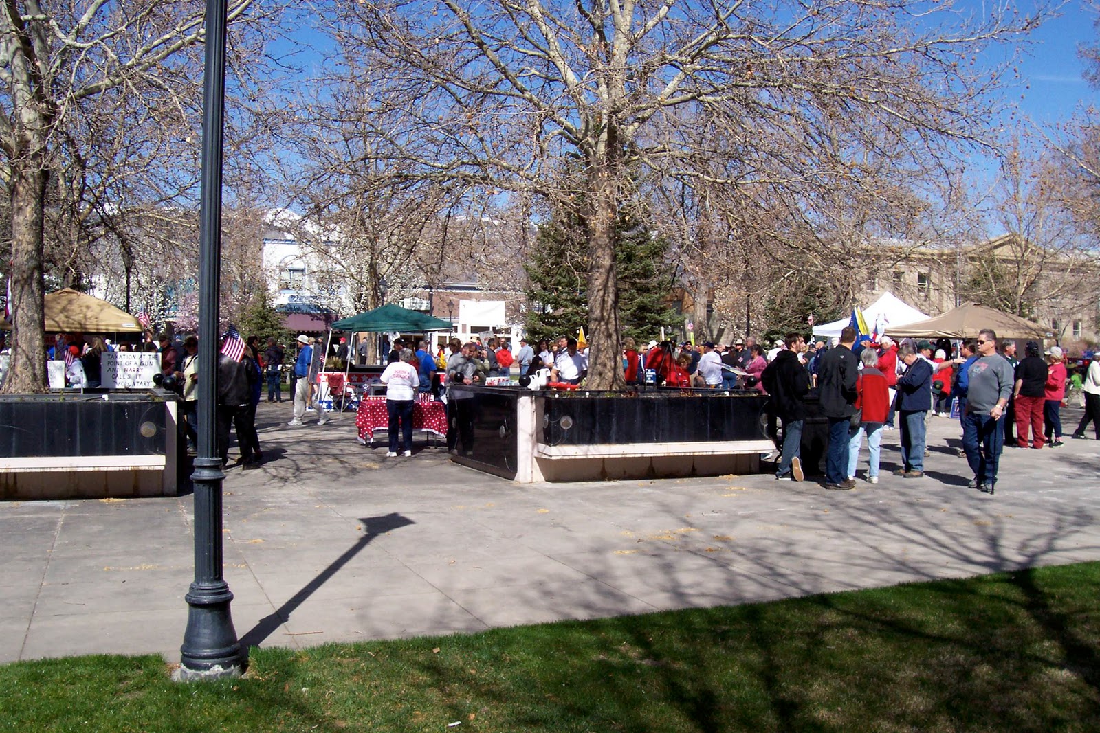 Woodsterman Carson City, NV Tea Party