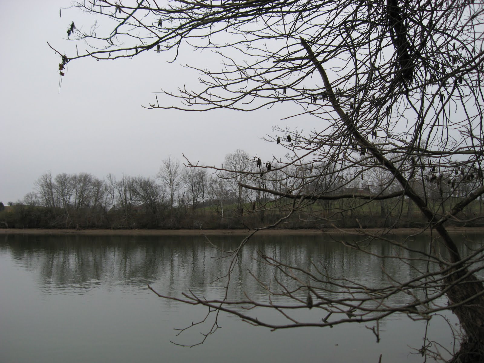 [IMG_0696.JPG]