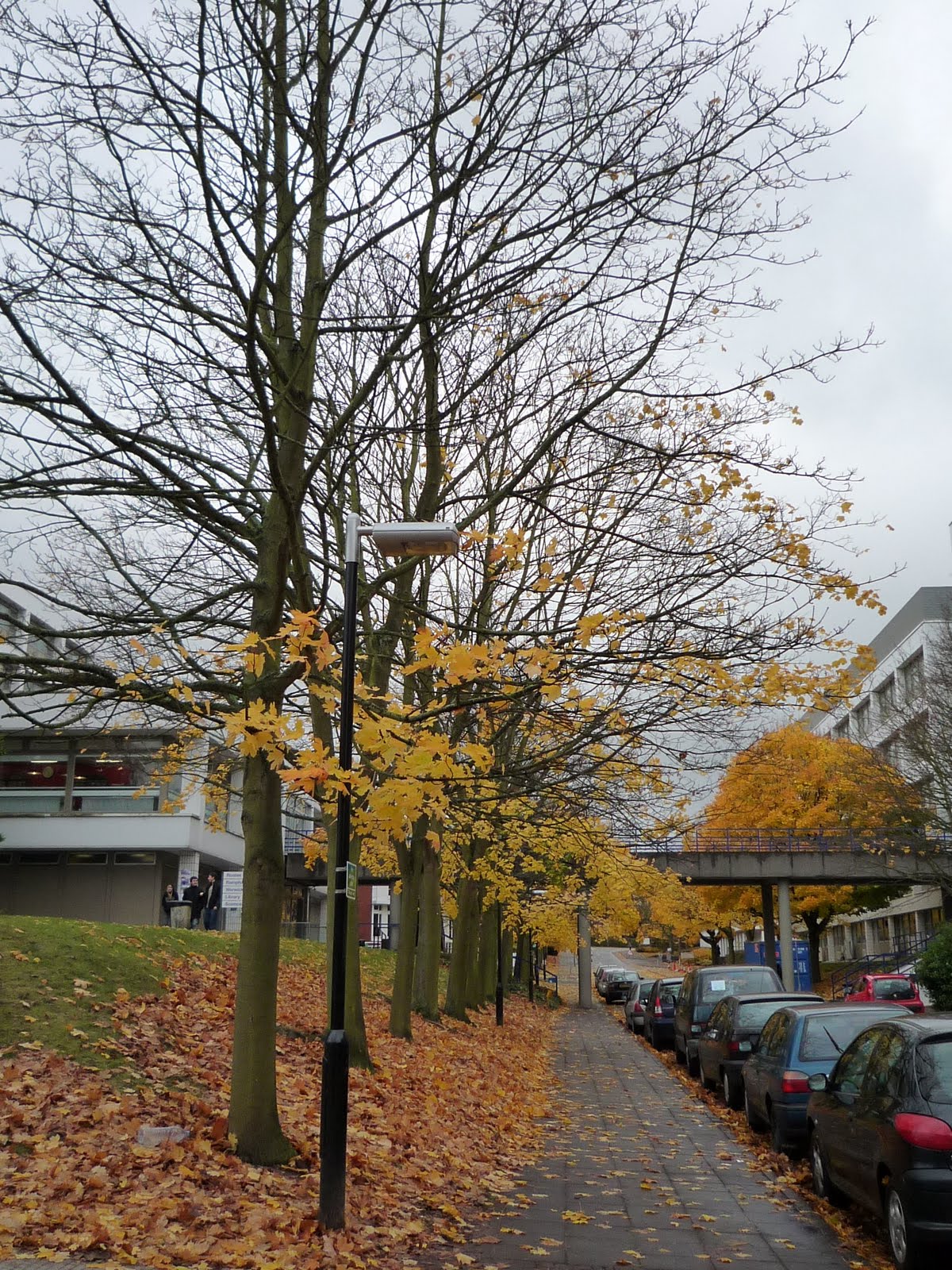 [P1020538.JPG]