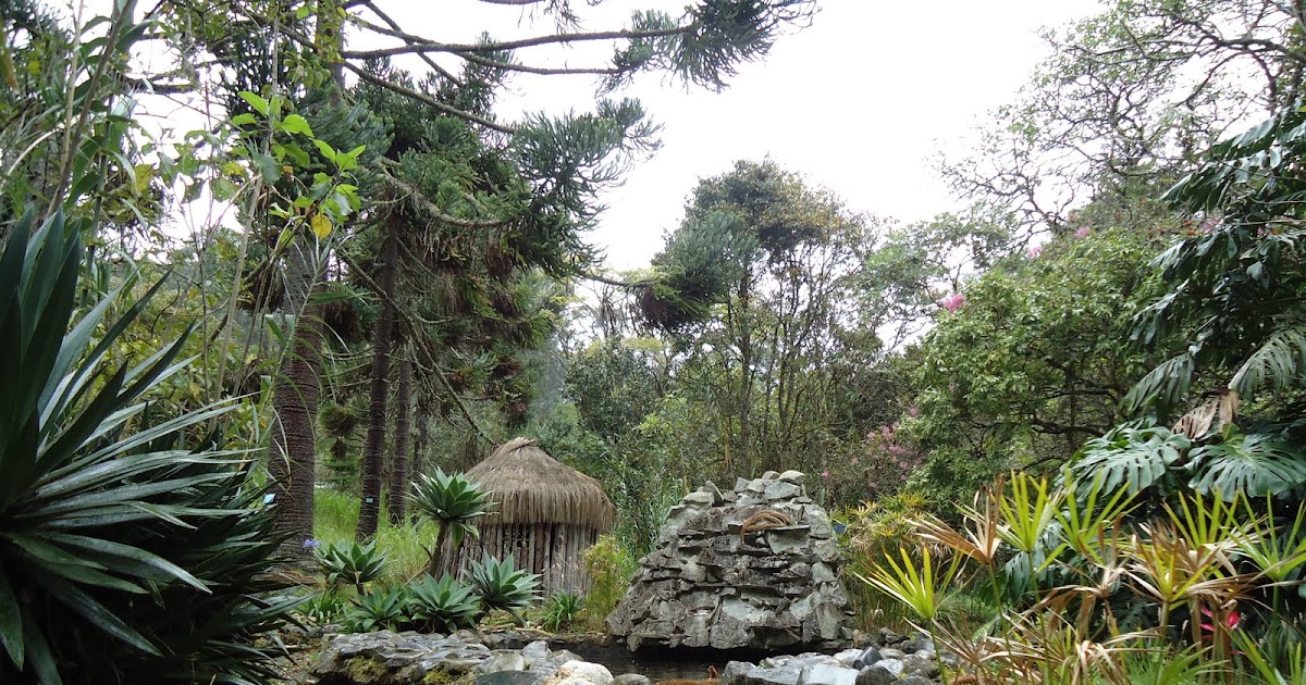 Turismo: VISITA AL JARDÍN BOTÁNICO
