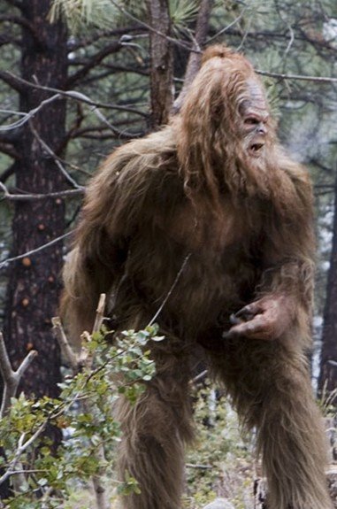 [MessinWithSasquatch_2-full.jpg]