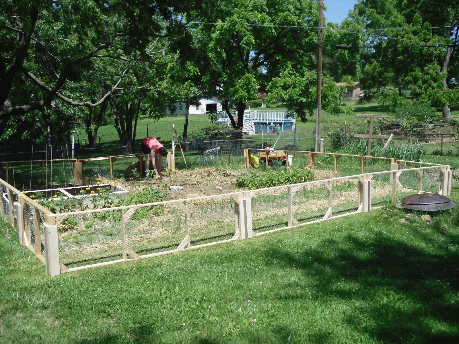 Garden Fence