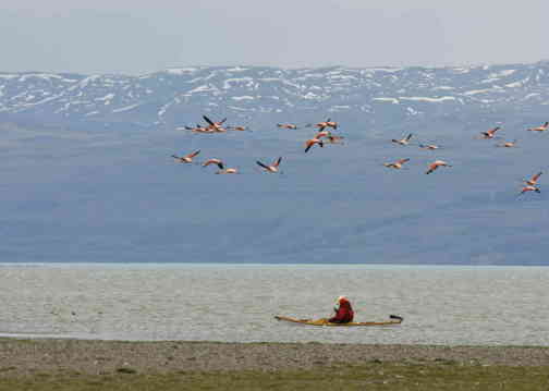 Kayaking Lago Argentino