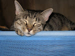 Buffy - Oct.2008