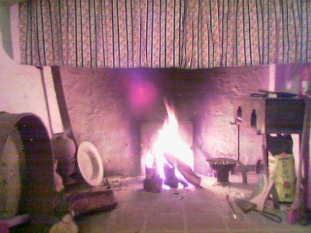 [A+MINHA+LAREIRA.JPG]