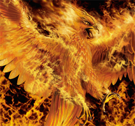 [Imagem+173.gif]