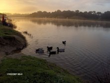 [pesca1.jpg]