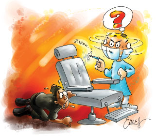 Odontopediatría Auxiliar de Odontología: El Operatorio Dental